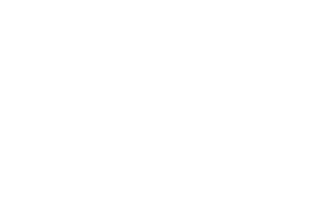 Instituto Wilson Mello